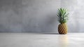 Minimalist Pineapple Arrangement On Polished Concrete