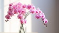 minimalist pink floral bouquet