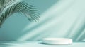 Minimalist podium with palm shadow on soft pastel background for product display Royalty Free Stock Photo