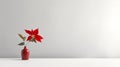 Minimalist Poinsettia In Abstract Empty Room Stock Photos Collection