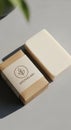 A minimalist presentation of two soap bars. One is unpackaged, showcasing its Royalty Free Stock Photo