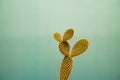 Minimalist prickly pear with blue background