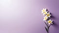 Minimalist Purple Background, Daffodils Bellflowers on the Side