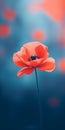 Minimalist Red Poppy Mobile Wallpaper For Impeccable And Tcl 6-series