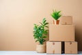 Minimalist relocation: cardboard boxes, furniture, and plants prepped for a move. Copy space Royalty Free Stock Photo