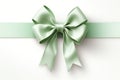 A minimalist representation of a Green sheen ribbon. Generative AI