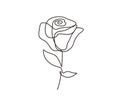 Minimalist rose flower design. Continuous line drawing of rose flower