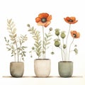 Minimalist Rustic Southwest Poppy Watercolor Illustration With Pots