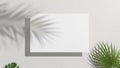 Minimalist scene with a blank white paper on a textured wall with palm leaf shadows Royalty Free Stock Photo