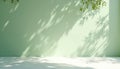 Minimalist scene with light green wall and white floor. Tree branch casts dappled shadows on surface. Clean backdrop for product Royalty Free Stock Photo