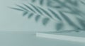 Minimalist scene with plant shadow and a platform for product display Royalty Free Stock Photo