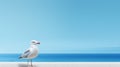 Minimalist Seagull Background: High Detail, Eye-catching Uhd Image