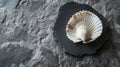 Minimalist seashell close-up styled on a textured dark stone