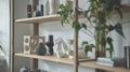 Minimalist shelving units hold carefully curated decor items including potted plants and abstract sculptures. .