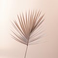 minimalist shoot of a leaf in a studio setting with carefully controlled lighting and isolation