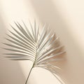 minimalist shoot of a leaf in a studio setting with carefully controlled lighting and isolation