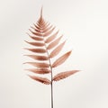 minimalist shoot of a leaf in a studio setting with carefully controlled lighting and isolation