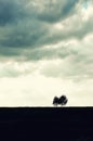 Minimalist single tree silhouette. Concept of loneliness, depression, escape, friendship, support, care, marriage Royalty Free Stock Photo