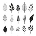 Minimalist sketches: illustrating the simplicity of plant leafs