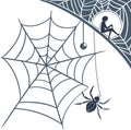 Minimalist spider web design with clean lines and geometric patterns in a modern abstract style