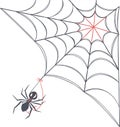 Minimalist spider web design with clean lines and geometric patterns in a modern abstract style