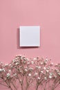 Minimalist spring template with blank paper card and gypsophila flowers on pastel pink background. Mothers day or Womens day