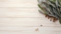 Minimalist Staging With Sage And Juniper On Wooden Background