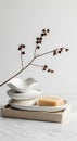 Minimalist still life composition featuring stacked white ceramic plates and a dried botanical branch Royalty Free Stock Photo