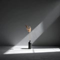 Minimalist Still Life with Dried Grass in a Black Vase and Dramatic Sunlight Shadows pampas grass Royalty Free Stock Photo