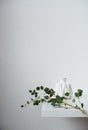 Minimalist still life, green eucalyptus branch and emty ceramic vase on white table by white wall Royalty Free Stock Photo