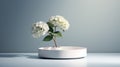 Minimalist Still Life: Hydrangea On White Circular Platform With Volumetric Lighting