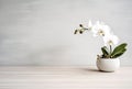 Orchid in the pot. Wooden table Royalty Free Stock Photo