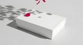 White Gift Box with Rose Petals and Shadow Royalty Free Stock Photo