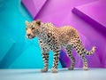 Minimalist studio setup focuses on the elegant and powerful leopard, capturing this captivating wild feline. Royalty Free Stock Photo