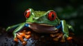 Close up portrait of red eyed tree frog. Ai generated