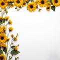 Minimalist Sunflower Art Natural Beauty