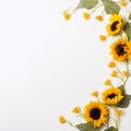 Minimalist Sunflower Art Natural Beauty