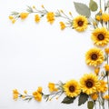 Minimalist Sunflower Art Natural Beauty