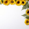 Minimalist Sunflower Frame Framed Serenity