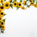 Minimalist Sunflower Frame Gentle Blooms