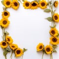 Minimalist sunflower frame