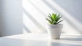 Minimalist Table Setting White Palette Clean Lines and a Plant in a White Pot A Stunning Visual for Royalty Free Stock Photo