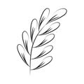 Minimalist tattoo branch leaves herb line art