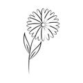 Minimalist tattoo flower daisy nature line art herb and leaves