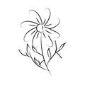 Minimalist tattoo flower foliage leaves line art herb