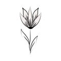 Minimalist tattoo flower herbal leaves plant line art