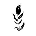 Minimalist tattoo flower nature botanical silhouette art herb and leaves