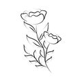 Minimalist tattoo flowers spring line art herb and leaves