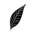 Minimalist tattoo leaf nature herb silhouette art