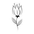 Minimalist tattoo single flower line art herb and leaves